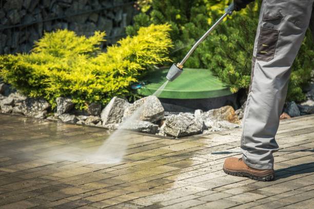 Best Pre-Holiday Cleaning  in Westwood Lakes, FL