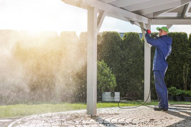 Best Driveway Pressure Washing  in Westwood Lakes, FL